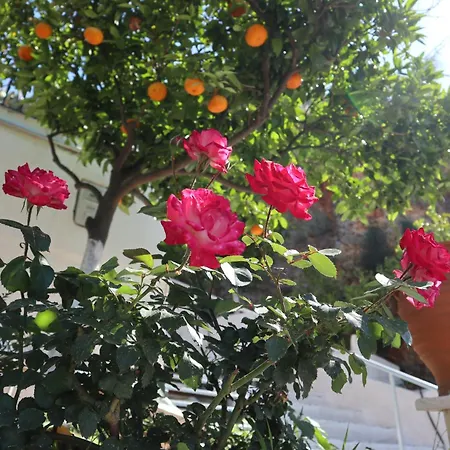 بيت للعطل Arokaria *