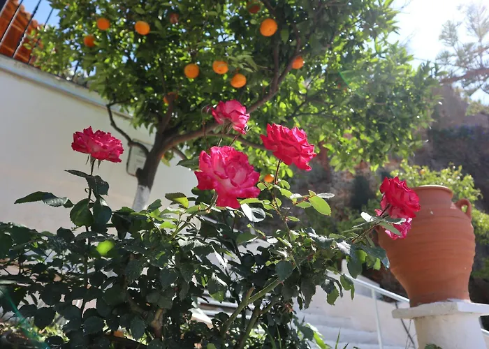 بيت للعطل Arokaria *